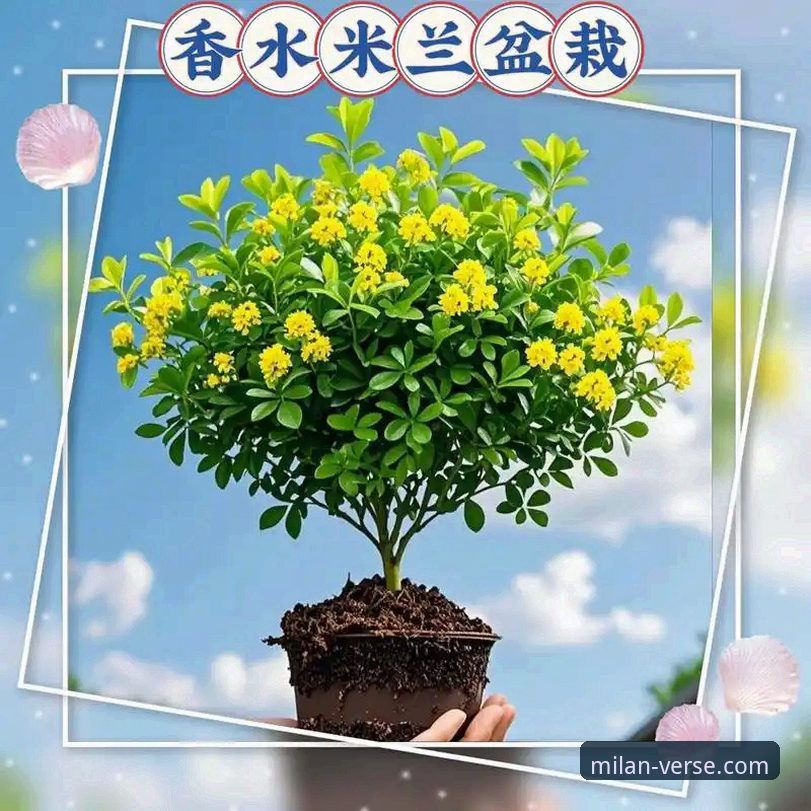 米兰体育平台使用指南：新手也能轻松掌握的完整教程